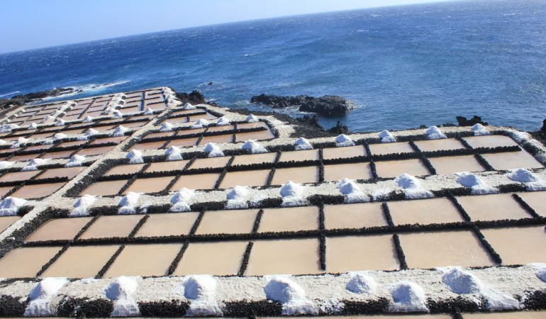 Saline-La-Palma