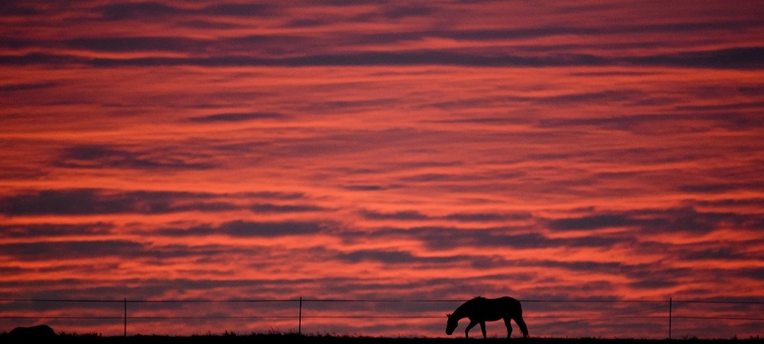So schön sieht es oft aus, wen aufgehende Sonne den Morgenhimmel rötlich verfärbt. (Foto: dpa)