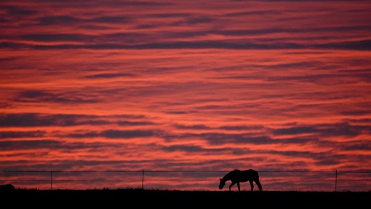 So schön sieht es oft aus, wen aufgehende Sonne den Morgenhimmel rötlich verfärbt. (Foto: dpa)