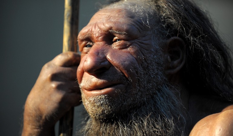 Wie klug waren Neandertaler?