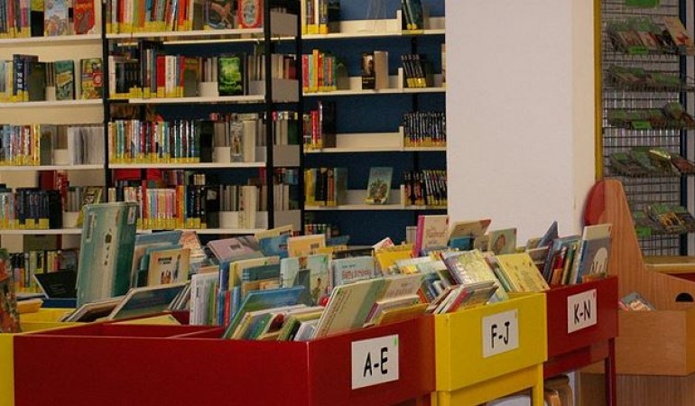 Fine erkundet die Bibliothek