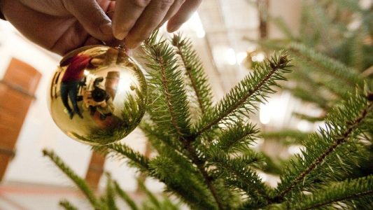 Was ist ein Fressbaum?