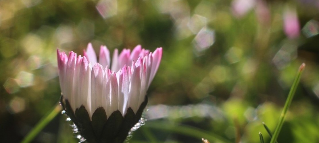 Schadet das warme Wetter der Umwelt?
