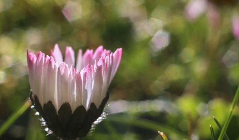 Schadet das warme Wetter der Umwelt?