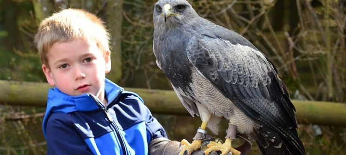 Eure Höhepunkte im Jahr 2015