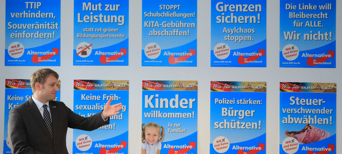 Warum gibt es Wirbel um die AfD?