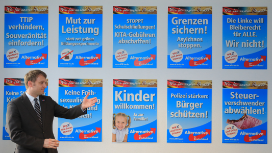 Warum gibt es Wirbel um die AfD?