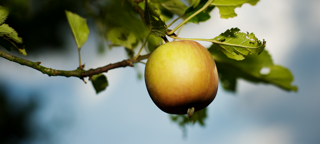 Was sind Gravitationswellen?