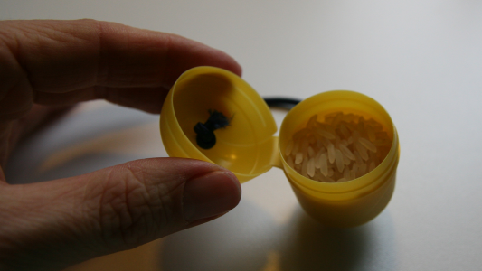 So bastelst du aus einem Ü-Ei eine Rassel