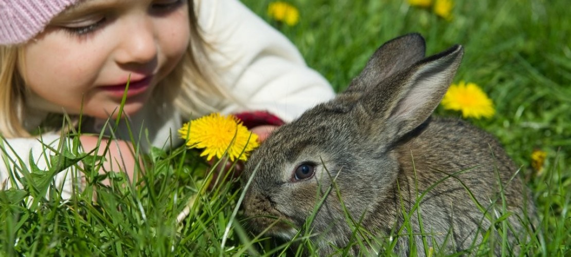 Die Ferien sind da! Was tun?