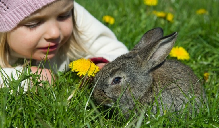 Die Ferien sind da! Was tun?