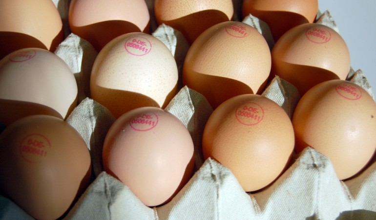 So testest du, ob Eier frisch sind