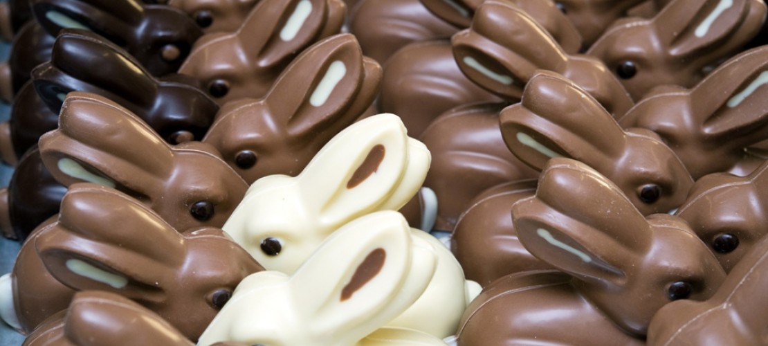 Schoko-Hasen sollen knacken