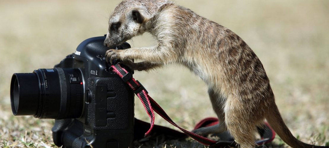 So entsteht eure Fotoreportage