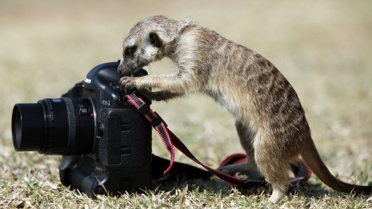 So entsteht eure Fotoreportage