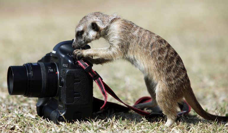 So entsteht eure Fotoreportage
