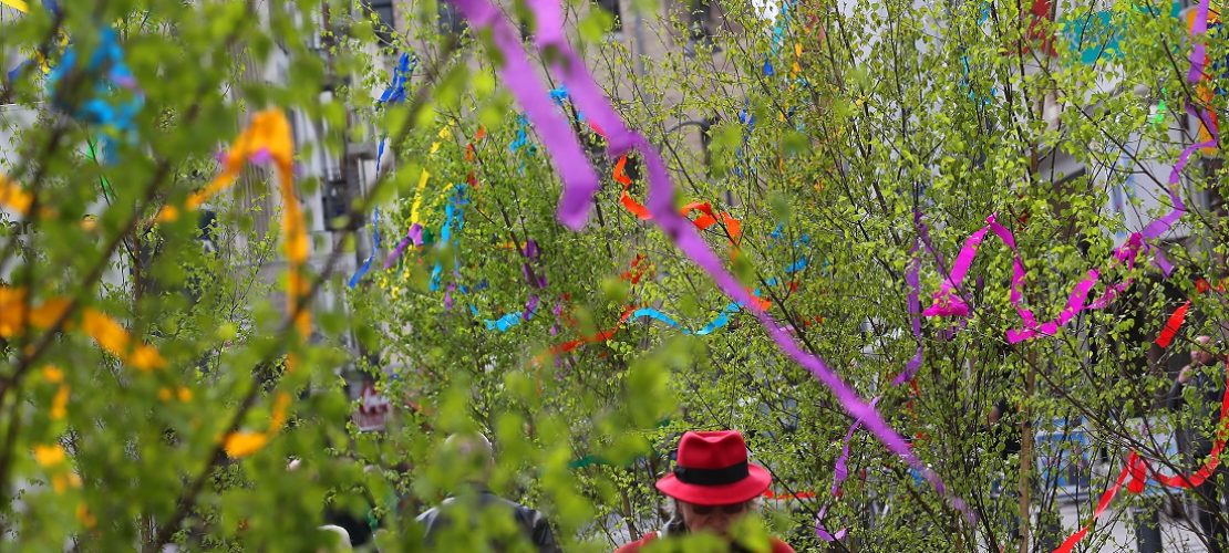 Dünne Bäumchen mit buntem Schmuck: 1. Mai ohne Maibäume - kaum vorstellbar in Köln! (Foto: dpa)