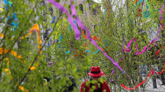 Dünne Bäumchen mit buntem Schmuck: 1. Mai ohne Maibäume - kaum vorstellbar in Köln! (Foto: dpa)