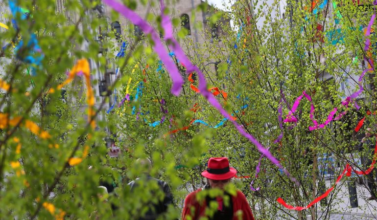 Dünne Bäumchen mit buntem Schmuck: 1. Mai ohne Maibäume - kaum vorstellbar in Köln! (Foto: dpa)