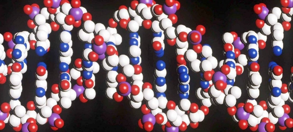 Eine Strickleiter namens DNA