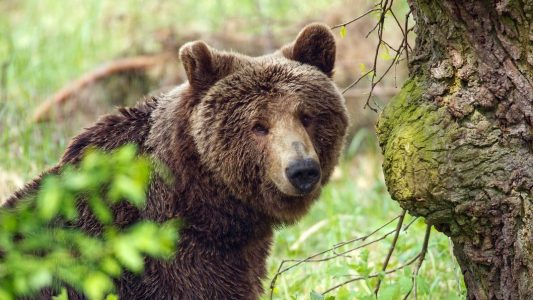 Heimat für seltene Tiere