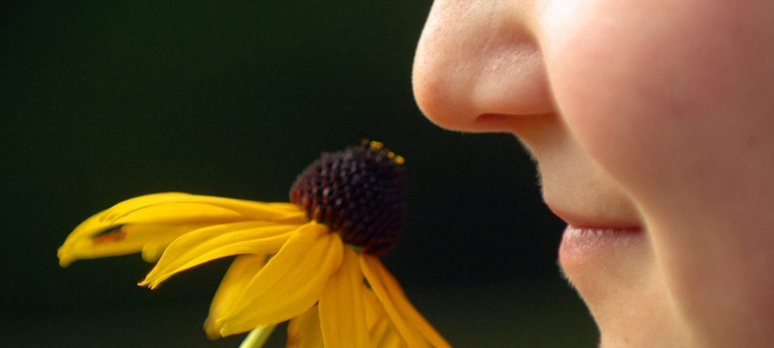 Wie riechen wir eigentlich?