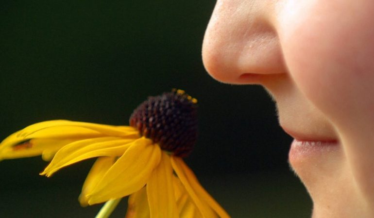 Wie riechen wir eigentlich?