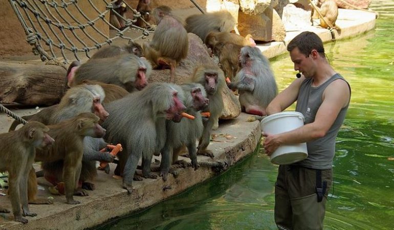 Ein Tag mit einem Tierpfleger