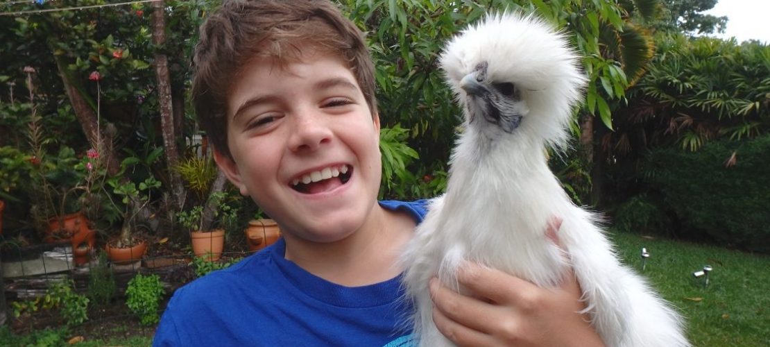 Wills verrückte Tierwelt