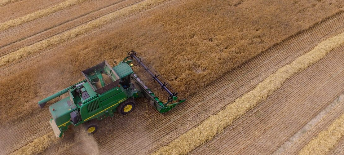 Warum macht das Wetter Bauern Probleme?