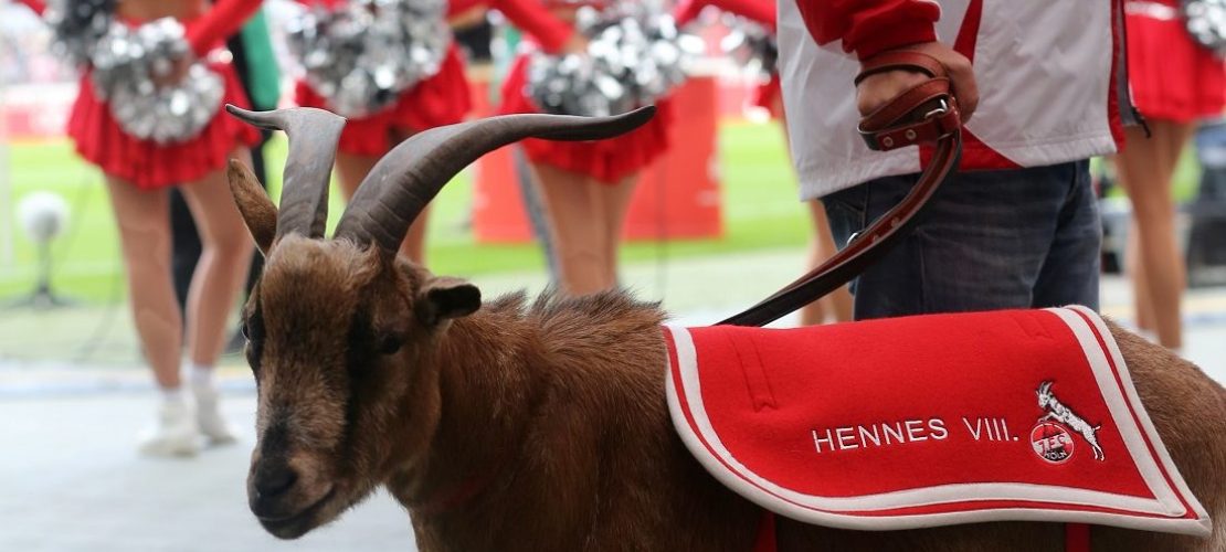 Die Maskottchen der Bundesliga