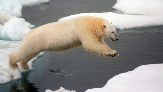 Die Eiswelt schmilzt