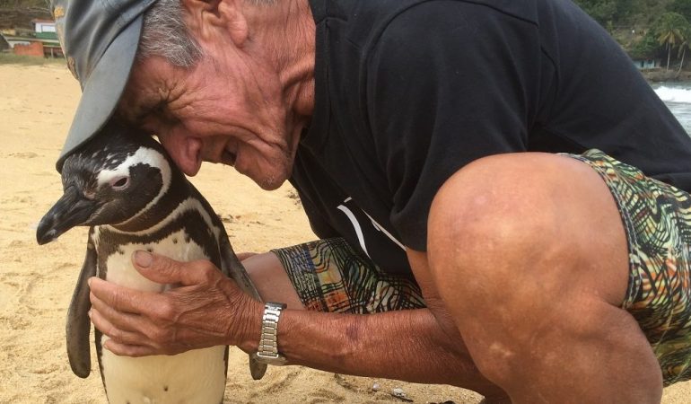 Können Pinguine und Menschen Freunde sein?