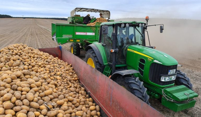 Jedes Gemüse hat seine Zeit