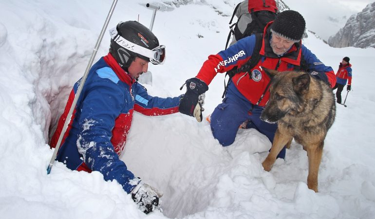 Besondere Hunde
