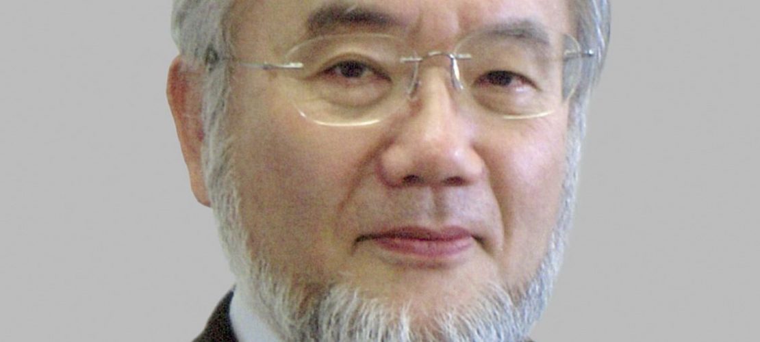 Nobelpreis für die Müllabfuhr