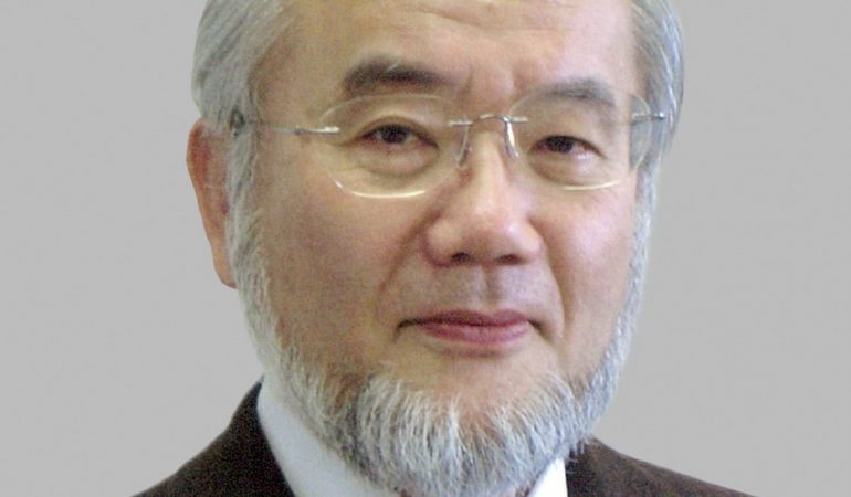 Nobelpreis für die Müllabfuhr