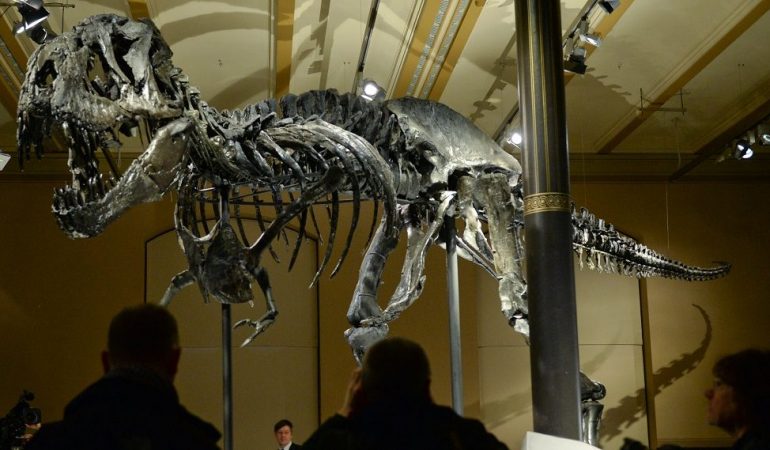 Tristan hatte Zahnschmerzen