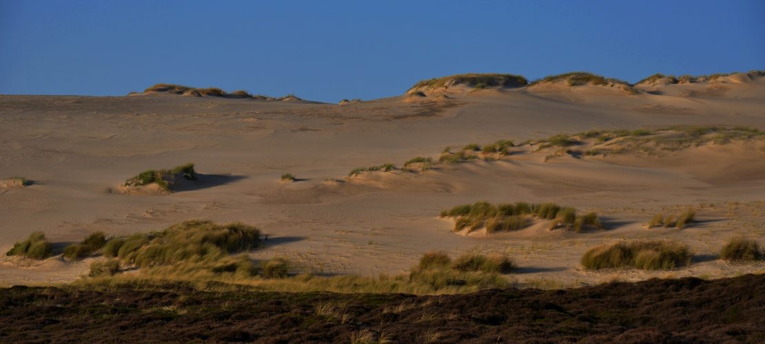 Warum wandern Dünen?