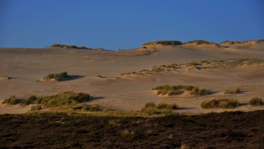 Warum wandern Dünen?