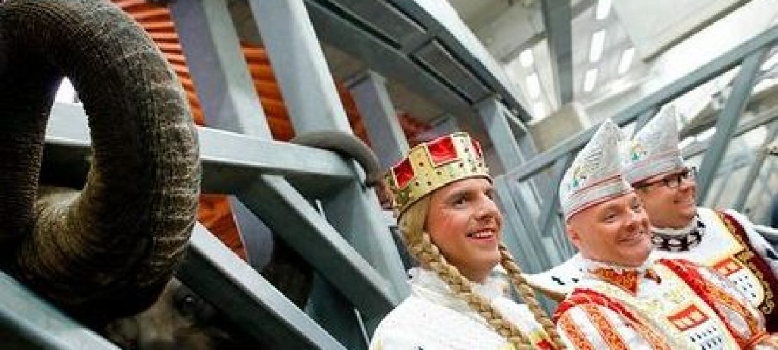 Es ist ein Jung Bul Kne!