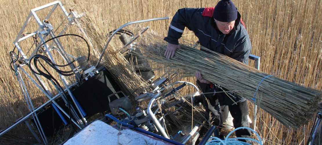 Was macht ein Rohrweber?