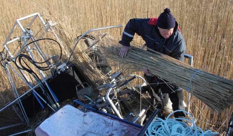 Was macht ein Rohrweber?