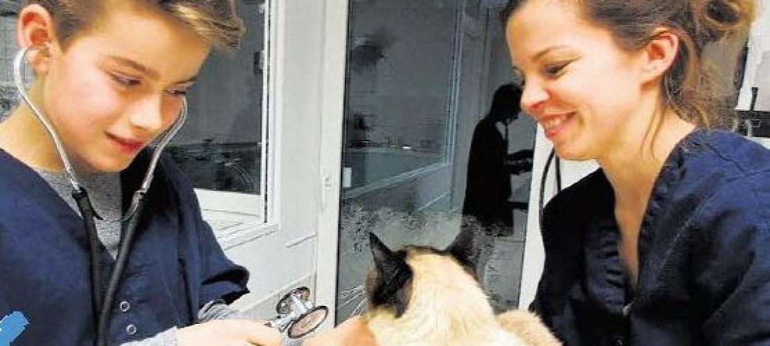 Miaunz! Jesse bei der Tierärztin