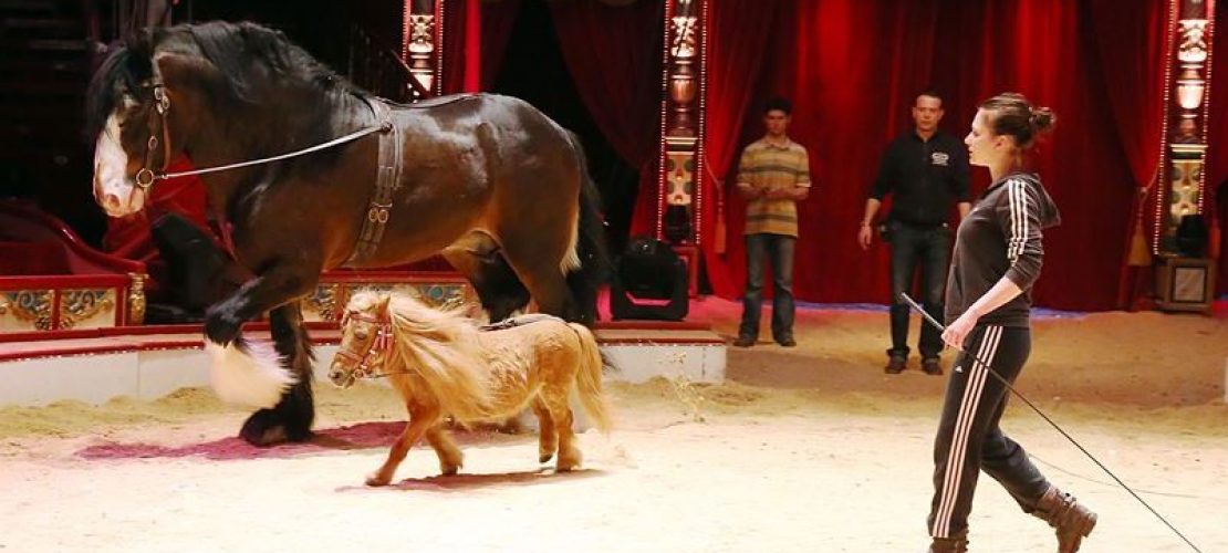 So schreibst du eine Reportage