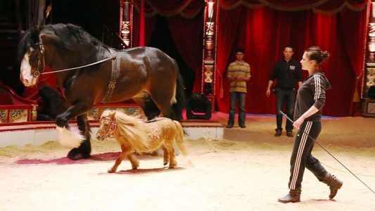 So schreibst du eine Reportage