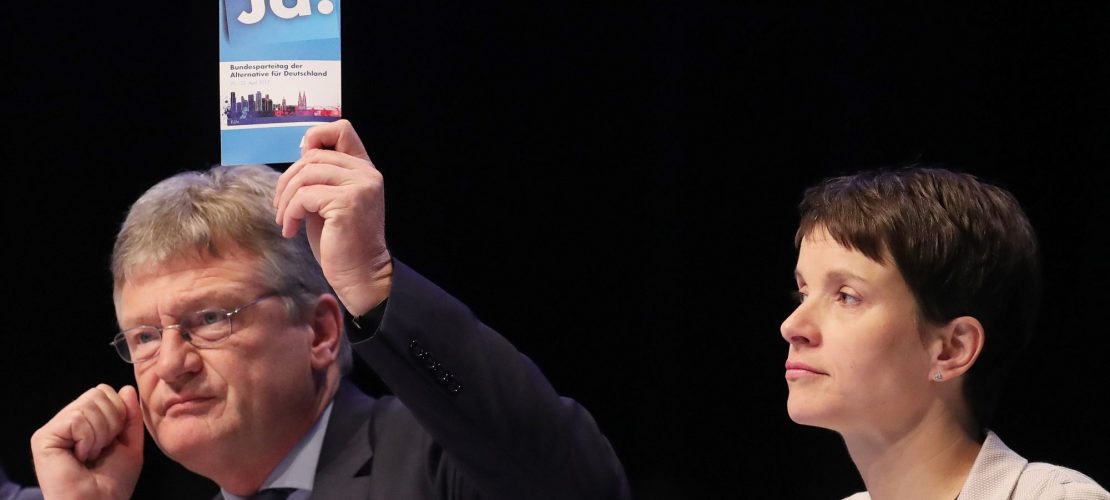 Was berät die AfD in Köln?
