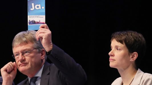Was berät die AfD in Köln?