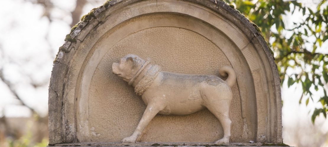 Die Geschichte vom Super-Mops