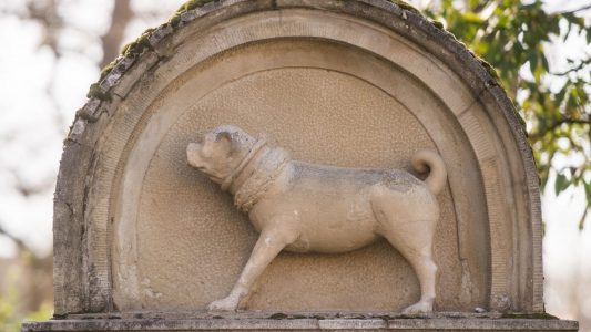 Die Geschichte vom Super-Mops